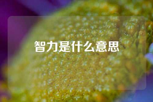 智力是什么意思