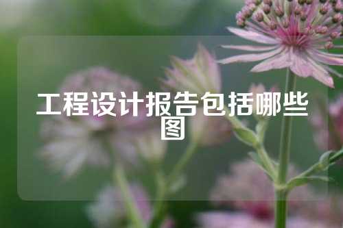 工程设计报告包括哪些图