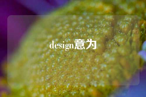 design意为