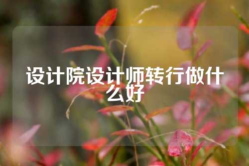 设计院设计师转行做什么好