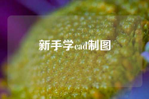 新手学cad制图