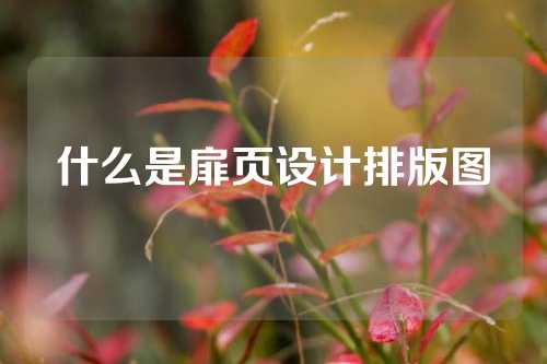 什么是扉页设计排版图