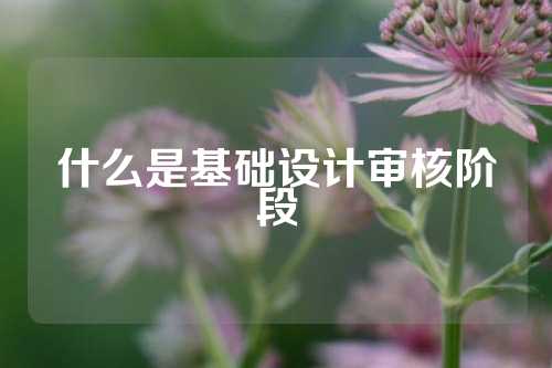 什么是基础设计审核阶段