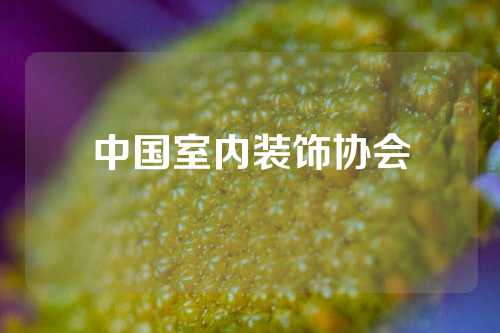 中国室内装饰协会