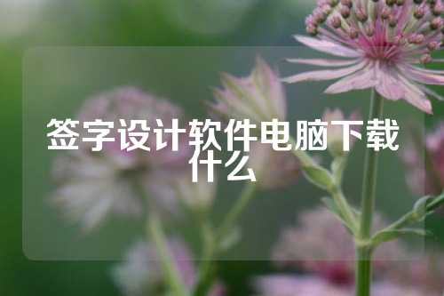 签字设计软件电脑下载什么