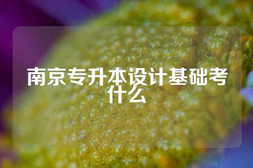 南京专升本设计基础考什么