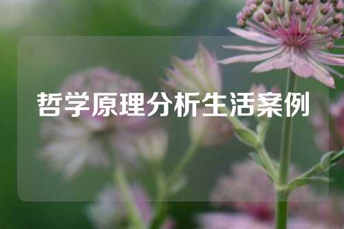 哲学原理分析生活案例