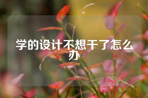 学的设计不想干了怎么办
