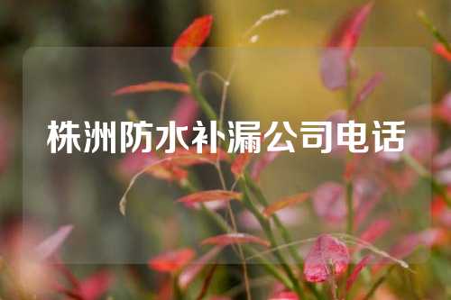 株洲防水补漏公司电话