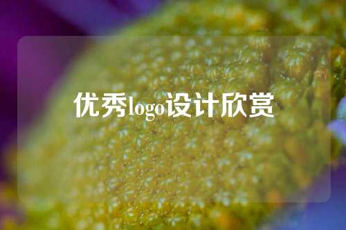 优秀logo设计欣赏