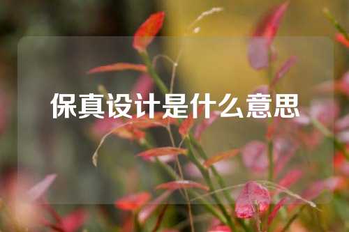 保真设计是什么意思