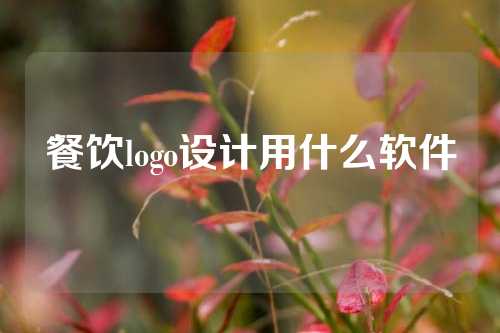 餐饮logo设计用什么软件