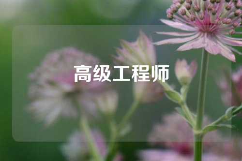 高级工程师