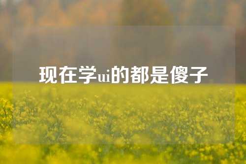 现在学ui的都是傻子