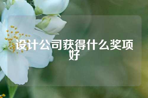 设计公司获得什么奖项好