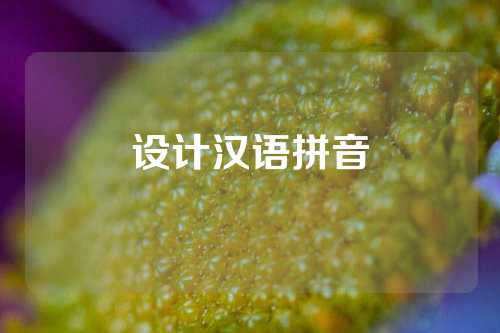设计汉语拼音