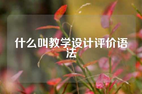 什么叫教学设计评价语法