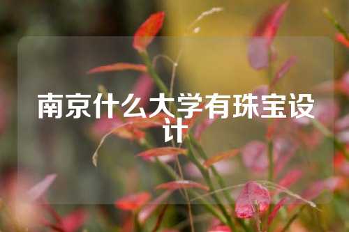 南京什么大学有珠宝设计