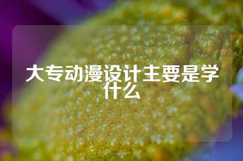 大专动漫设计主要是学什么