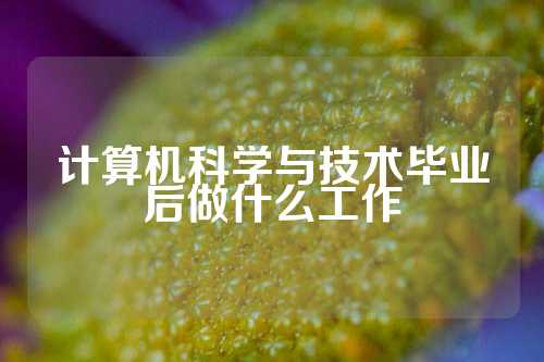 计算机科学与技术毕业后做什么工作