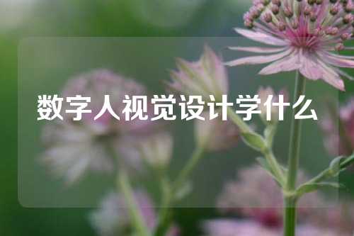 数字人视觉设计学什么