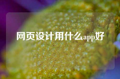 网页设计用什么app好