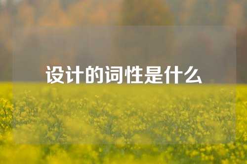 设计的词性是什么