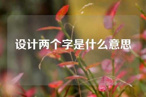 设计两个字是什么意思