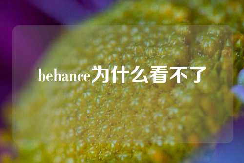 behance为什么看不了