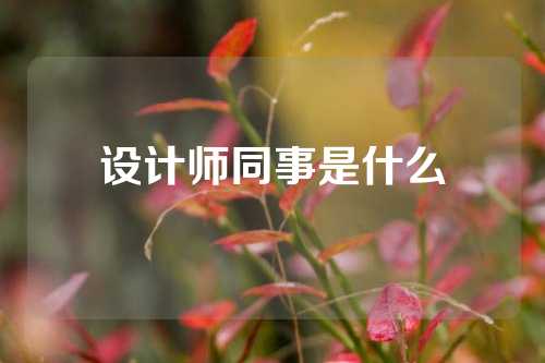 设计师同事是什么