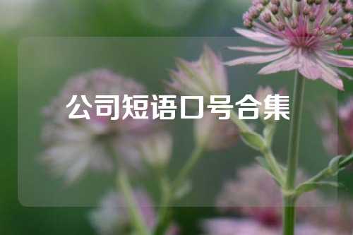 公司短语口号合集