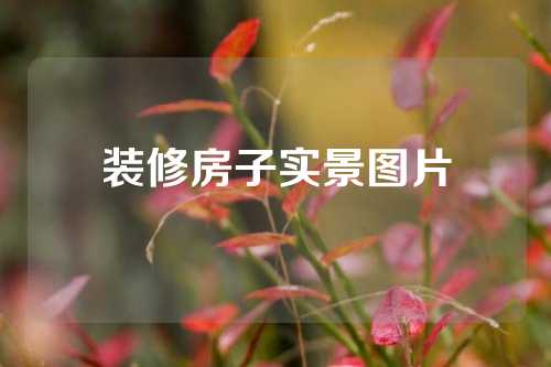 装修房子实景图片