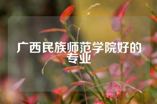 广西民族师范学院好的专业