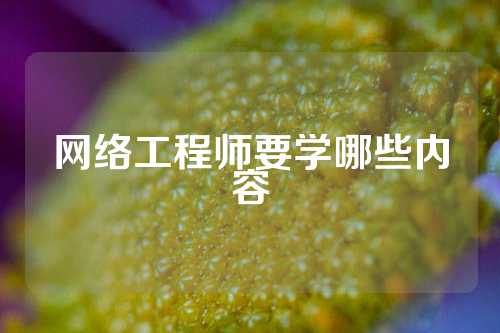 网络工程师要学哪些内容