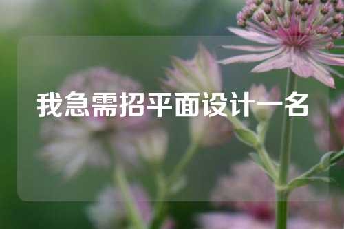 我急需招平面设计一名