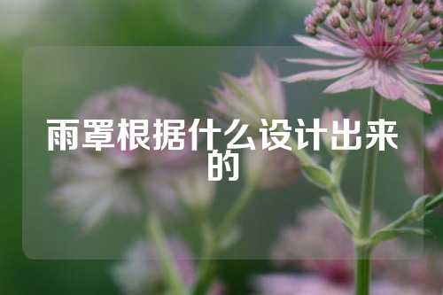 雨罩根据什么设计出来的