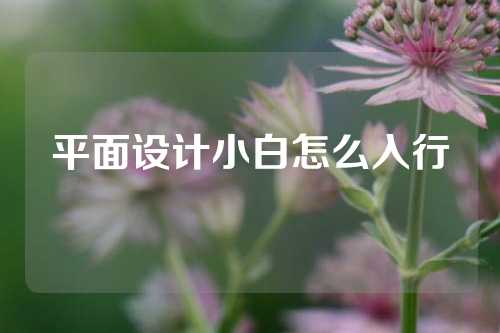 平面设计小白怎么入行