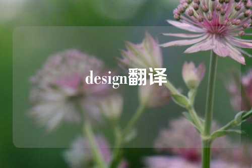 design翻译