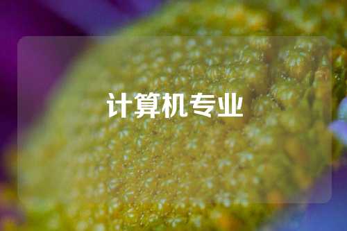 计算机专业