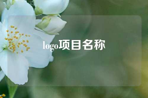 logo项目名称