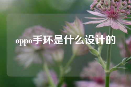 oppo手环是什么设计的