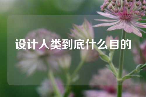 设计人类到底什么目的