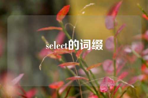 select的词缀