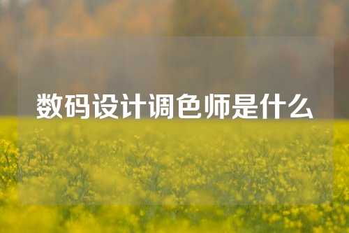 数码设计调色师是什么