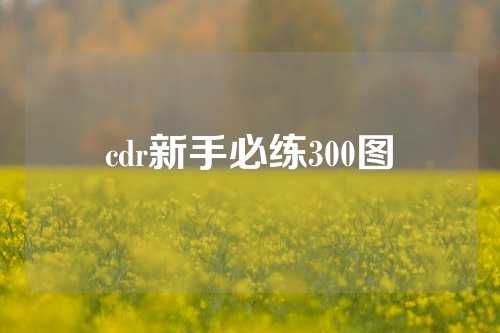 cdr新手必练300图