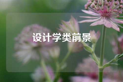 设计学类前景