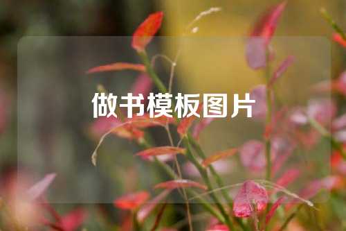 做书模板图片