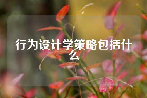 行为设计学策略包括什么