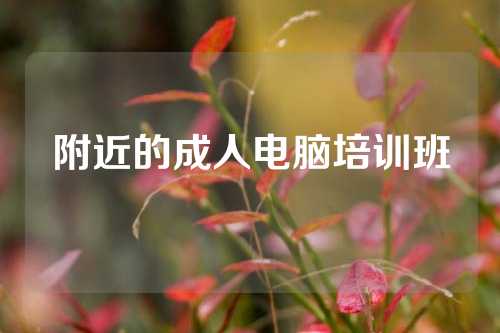 附近的成人电脑培训班