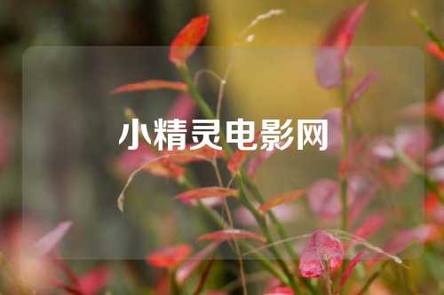 小精灵电影网